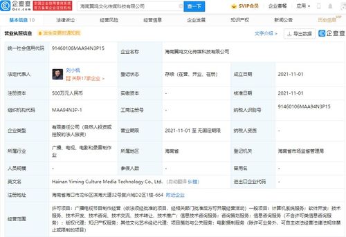 項(xiàng)目策劃與公關(guān)服務(wù) 構(gòu)建成功與聲譽(yù)的雙重支柱